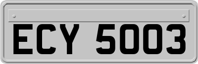 ECY5003