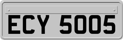 ECY5005