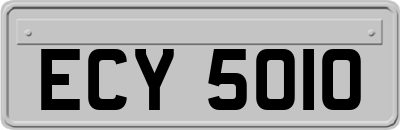 ECY5010