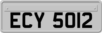ECY5012