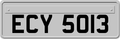 ECY5013