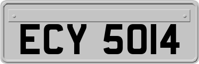ECY5014