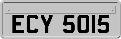 ECY5015