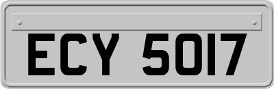 ECY5017