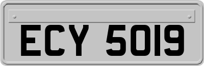 ECY5019