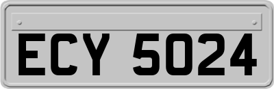 ECY5024