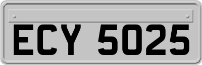 ECY5025