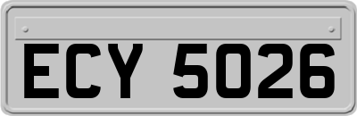 ECY5026