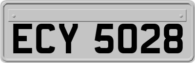 ECY5028