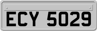 ECY5029