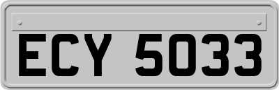 ECY5033