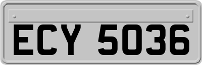 ECY5036