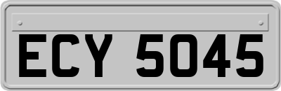 ECY5045