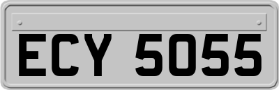 ECY5055