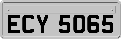 ECY5065