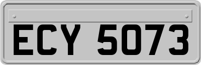ECY5073
