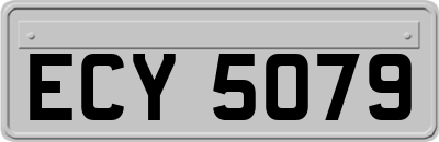 ECY5079