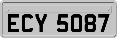 ECY5087