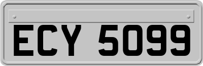 ECY5099