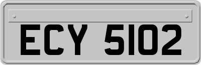 ECY5102