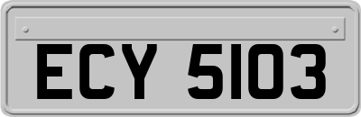 ECY5103