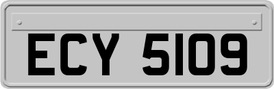 ECY5109