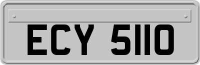 ECY5110