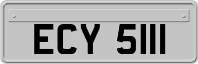 ECY5111