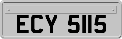 ECY5115