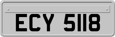 ECY5118