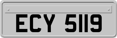 ECY5119