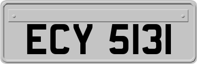 ECY5131