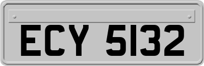 ECY5132