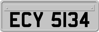 ECY5134