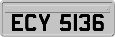 ECY5136