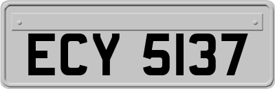 ECY5137