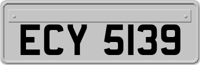 ECY5139