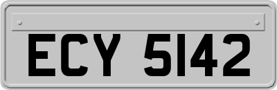 ECY5142