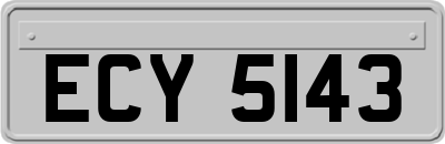 ECY5143