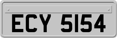 ECY5154