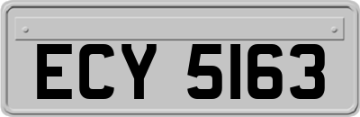 ECY5163
