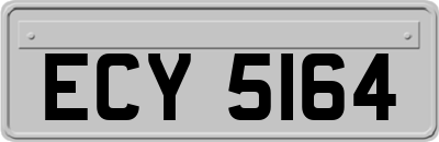 ECY5164