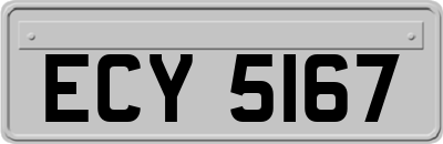 ECY5167