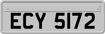 ECY5172