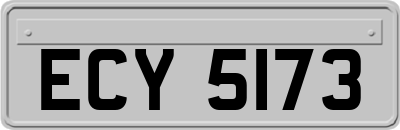 ECY5173
