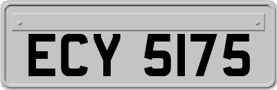ECY5175