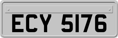 ECY5176