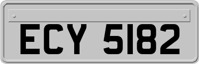 ECY5182