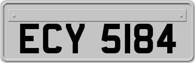 ECY5184