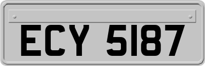 ECY5187